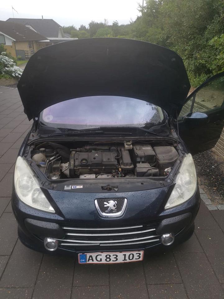 Peugeot 307 billede 6