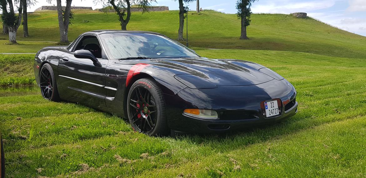 Chevrolet Corvette C5 Targa 50th Anniversary Edition - Fra Halden festning. billede 19