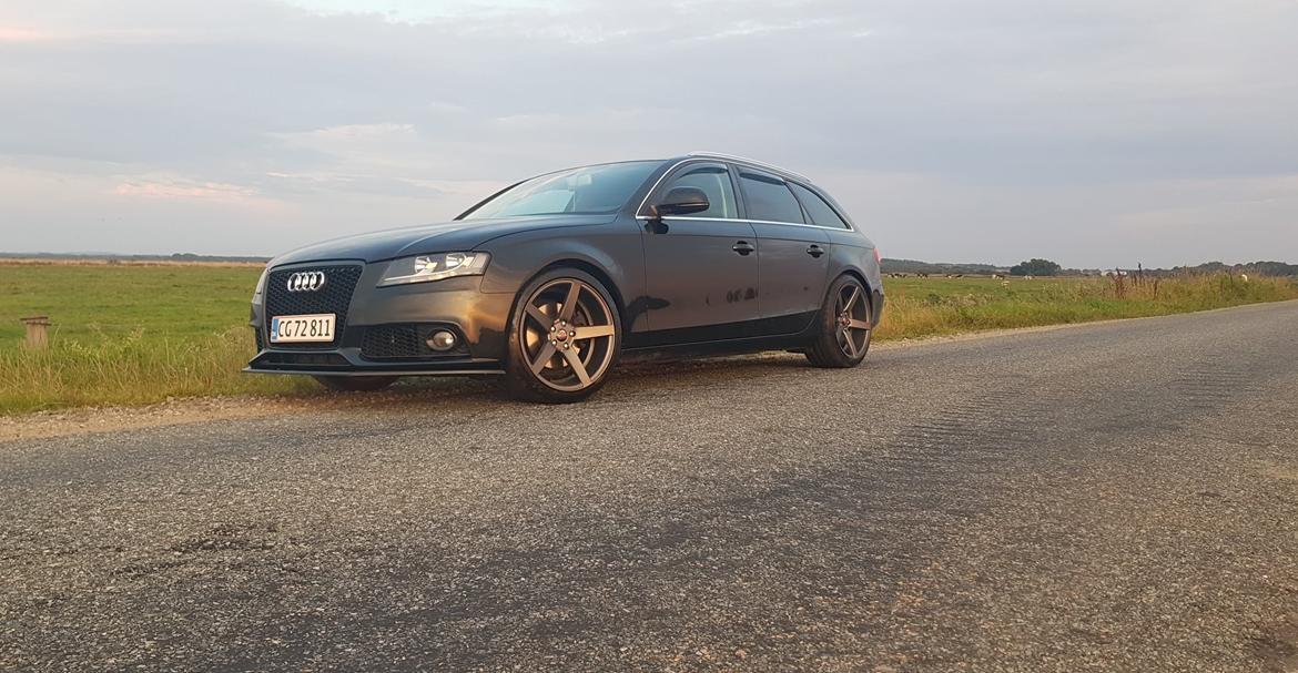 Audi A4 B8 Avant billede 1