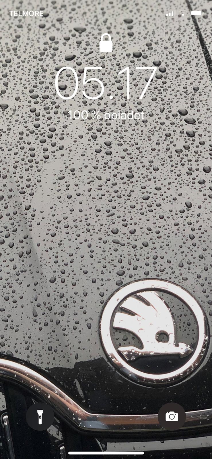 Skoda Superb Combi Wagon Queen Family Truckster billede 18