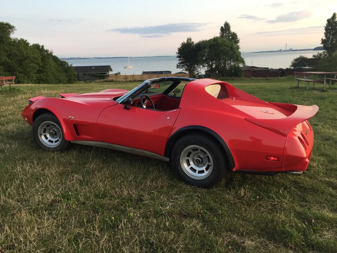 Chevrolet Corvette C3 Targa (SOLGT) billede 1