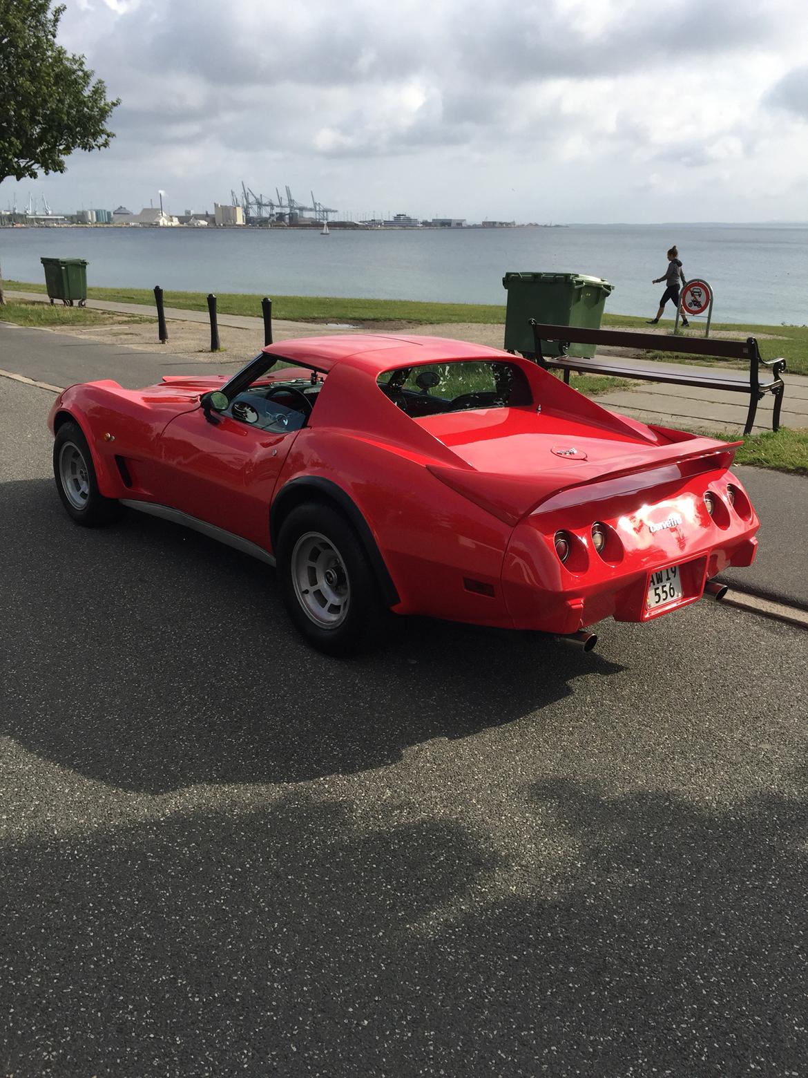 Chevrolet Corvette C3 Targa (SOLGT) billede 2