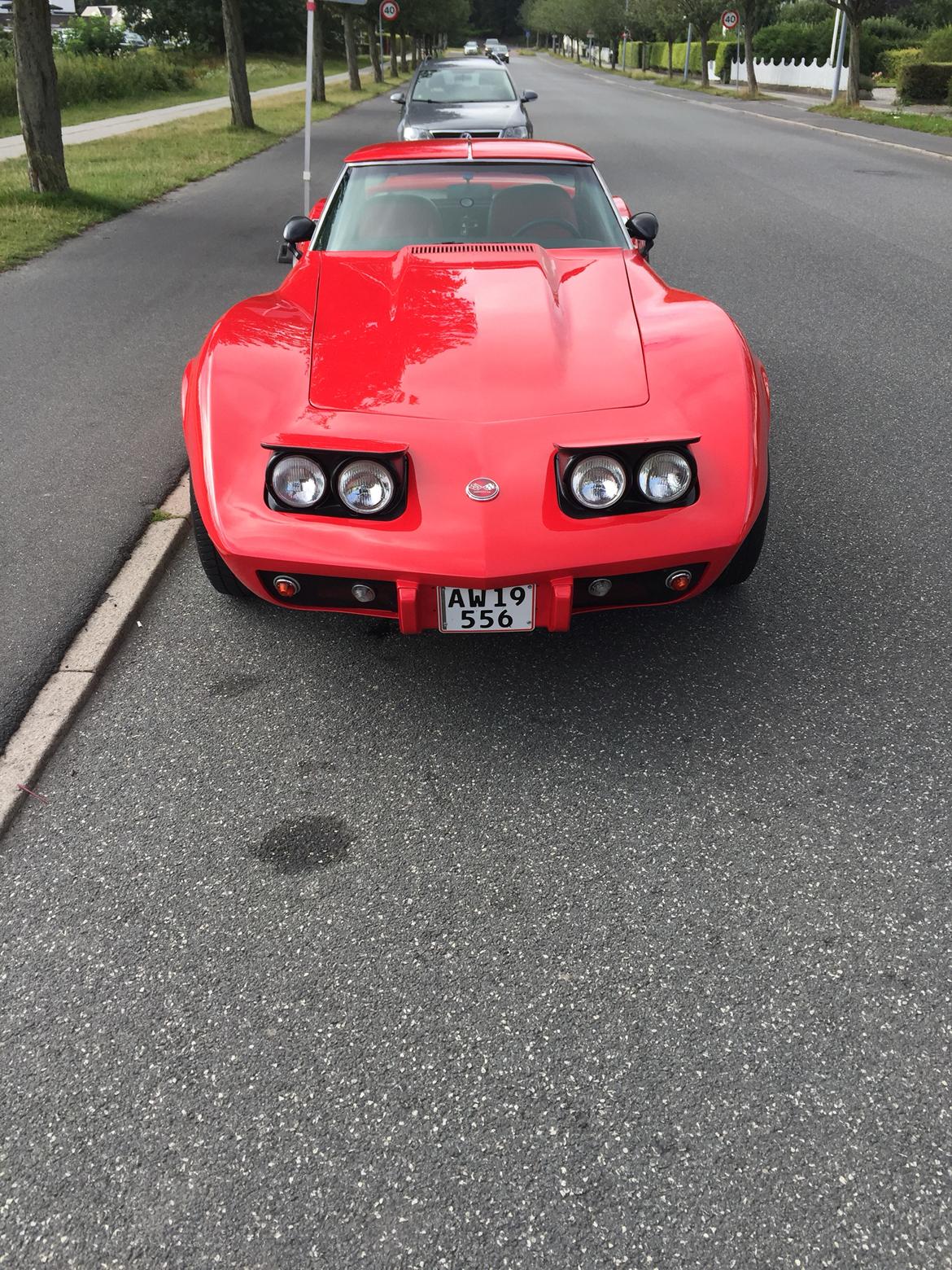 Chevrolet Corvette C3 Targa (SOLGT) billede 3