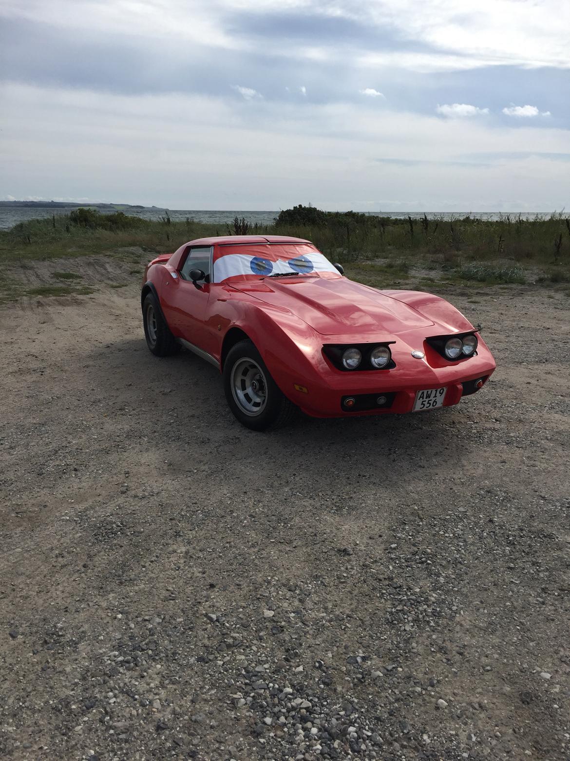 Chevrolet Corvette C3 Targa (SOLGT) billede 6