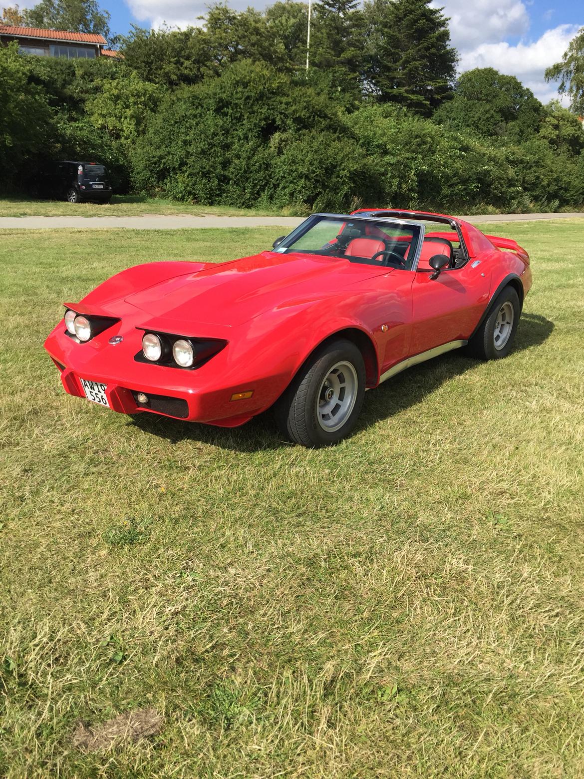 Chevrolet Corvette C3 Targa (SOLGT) billede 7