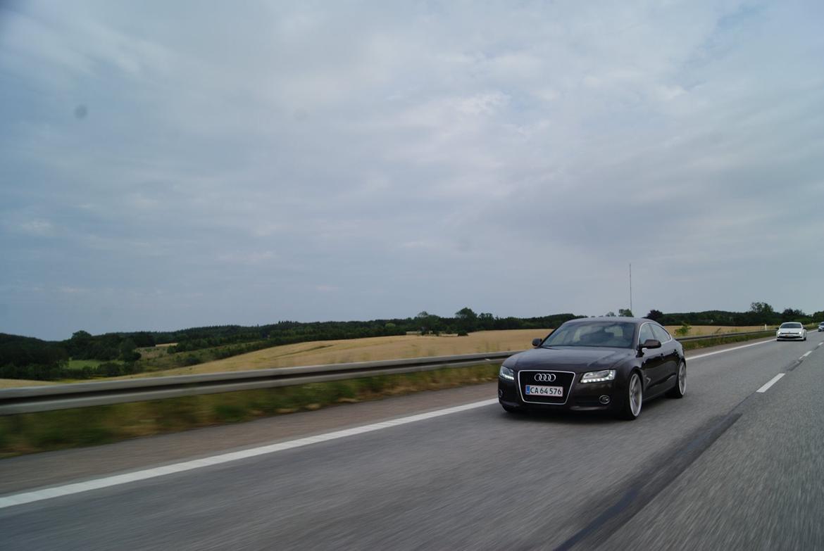 Audi A5 2,7 V6 TDI Sportsback billede 2