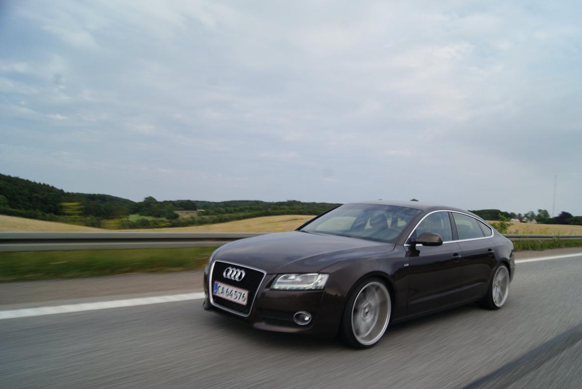 Audi A5 2,7 V6 TDI Sportsback billede 1