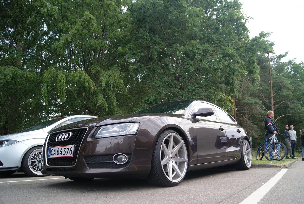 Audi A5 2,7 V6 TDI Sportsback billede 3