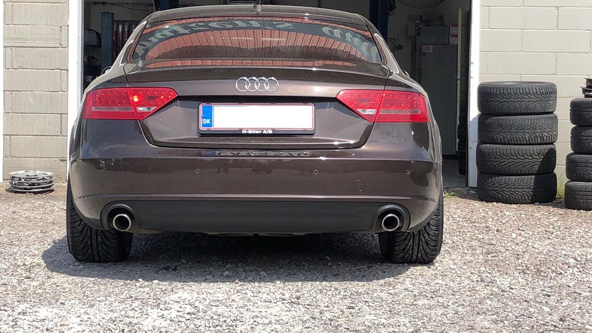 Audi A5 2,7 V6 TDI Sportsback billede 5