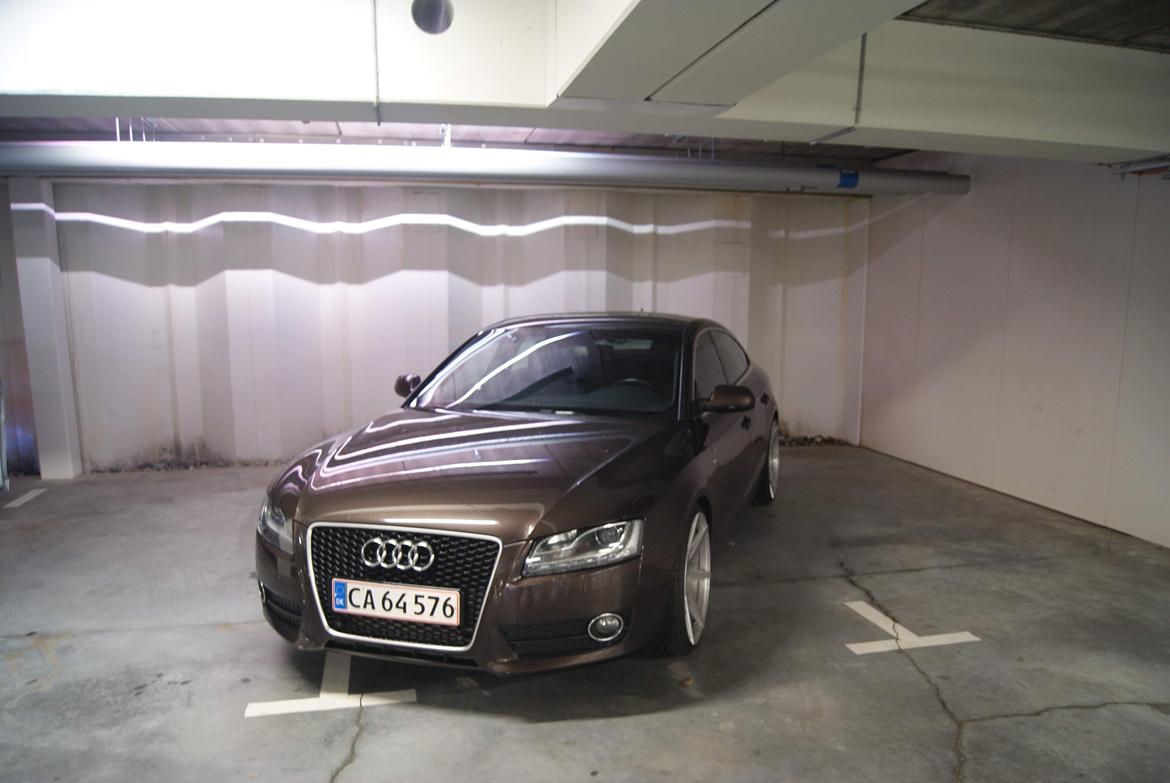 Audi A5 2,7 V6 TDI Sportsback billede 6