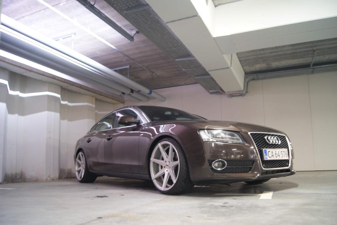 Audi A5 2,7 V6 TDI Sportsback billede 7