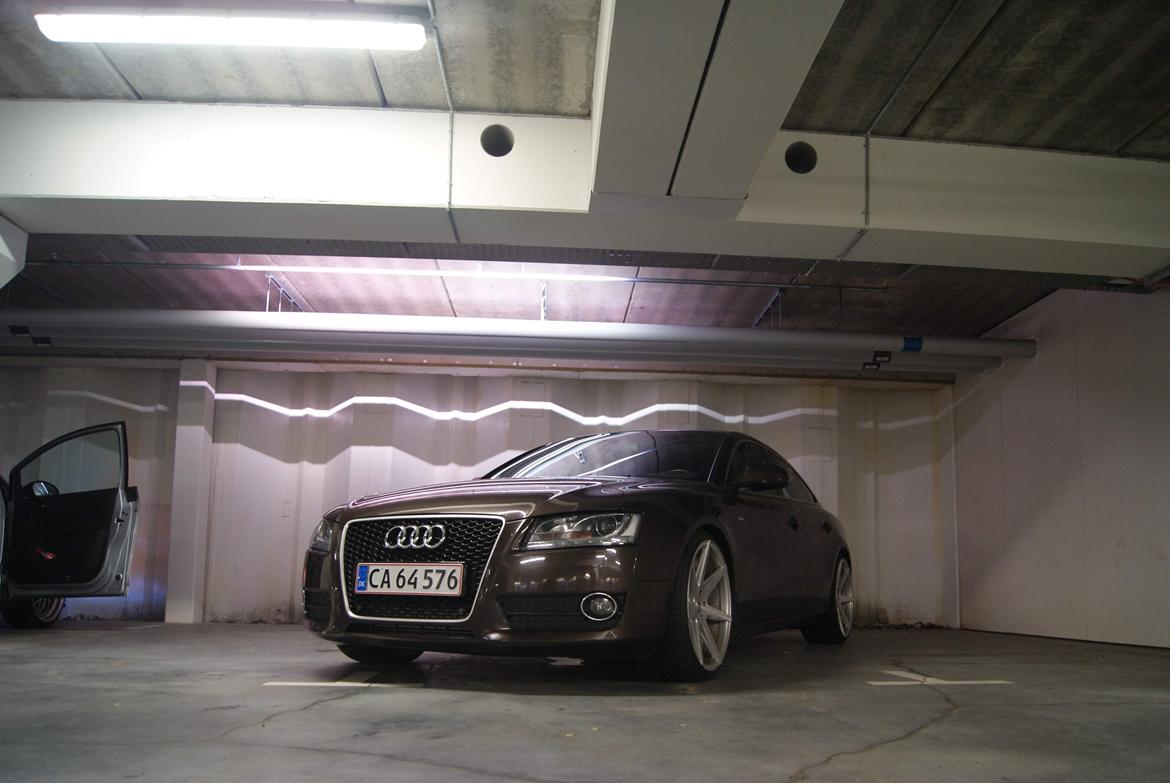 Audi A5 2,7 V6 TDI Sportsback billede 8