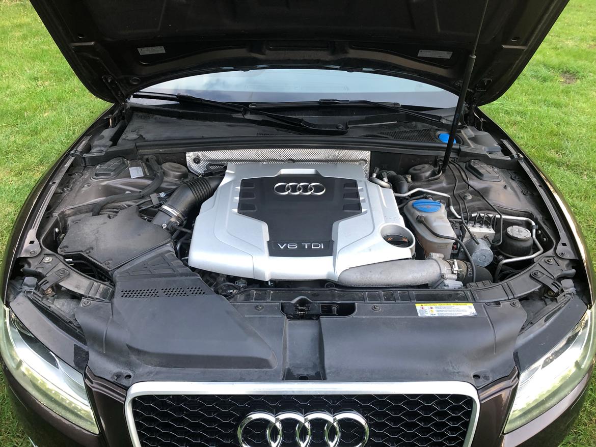 Audi A5 2,7 V6 TDI Sportsback billede 10