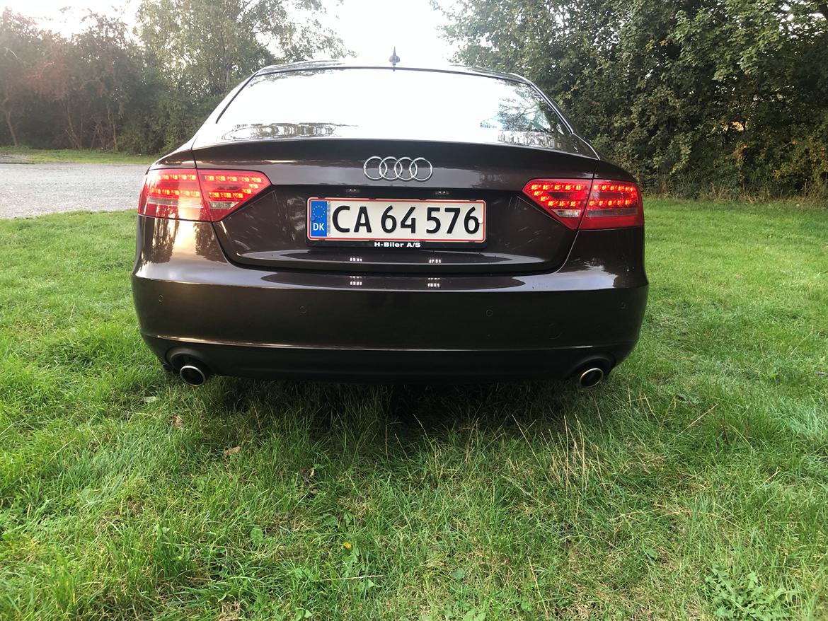 Audi A5 2,7 V6 TDI Sportsback billede 15