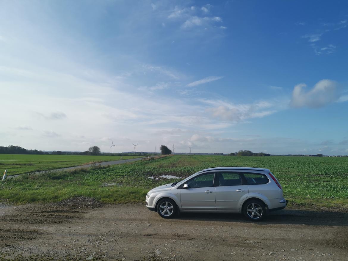 Ford Focus 1,6 Trend Collection billede 2