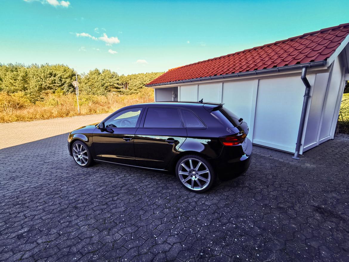 Audi A3 1.6 TDI billede 5