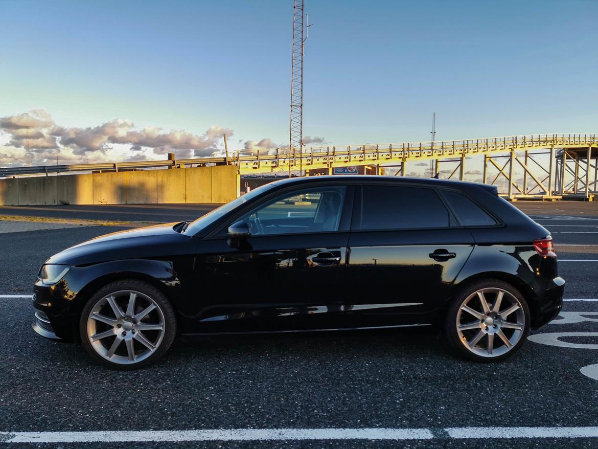 Audi A3 1.6 TDI billede 19