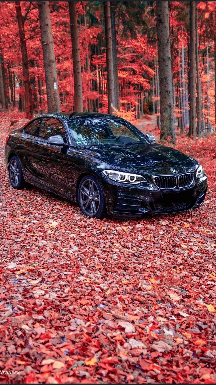 BMW M235i billede 1