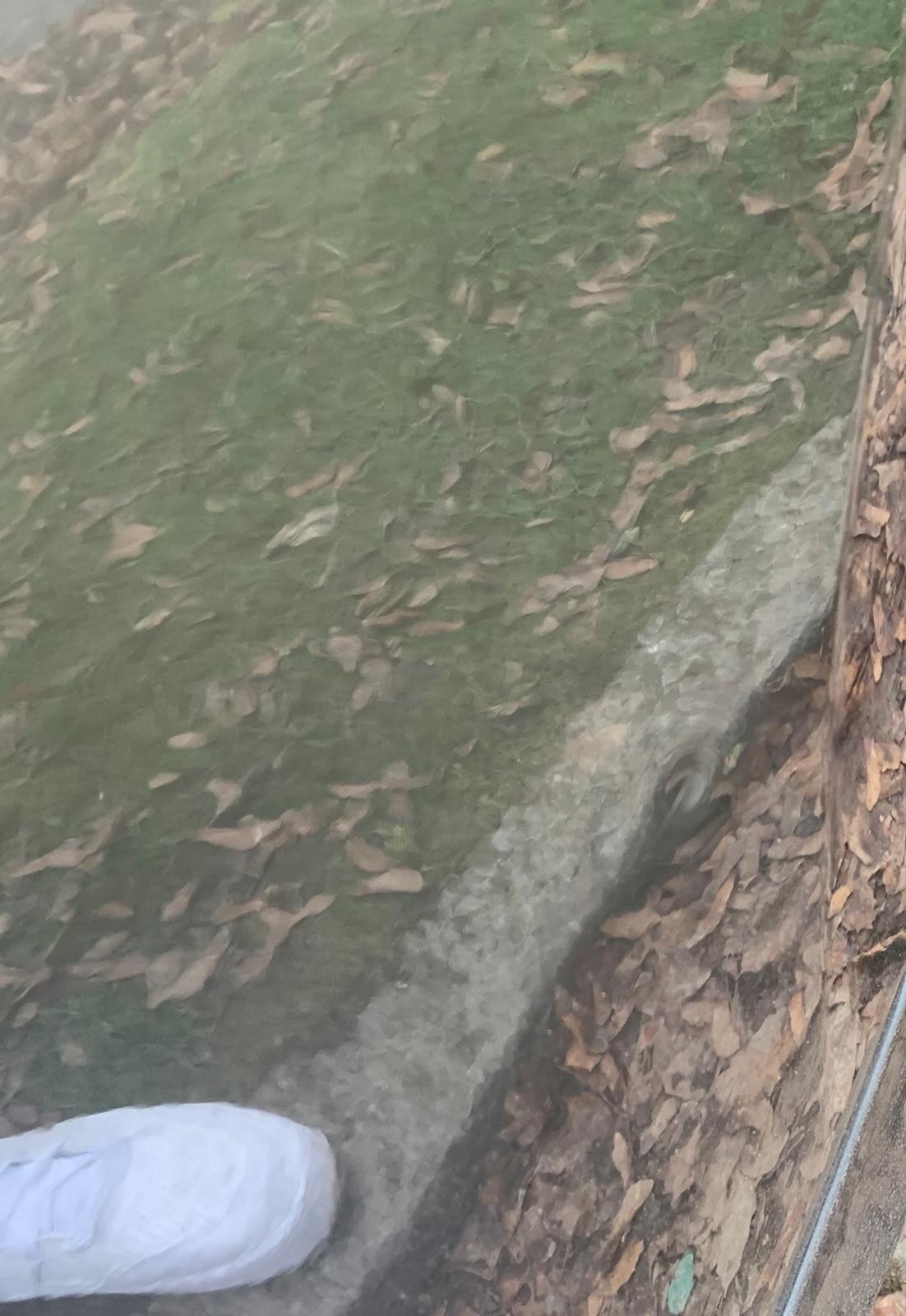 BMW BMW 220I 2,0 Cabriolet aut. billede 20