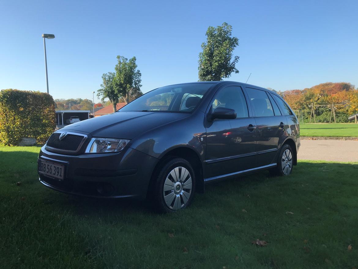 Skoda Fabia Combi 1.9 TDI (6Y5) billede 1