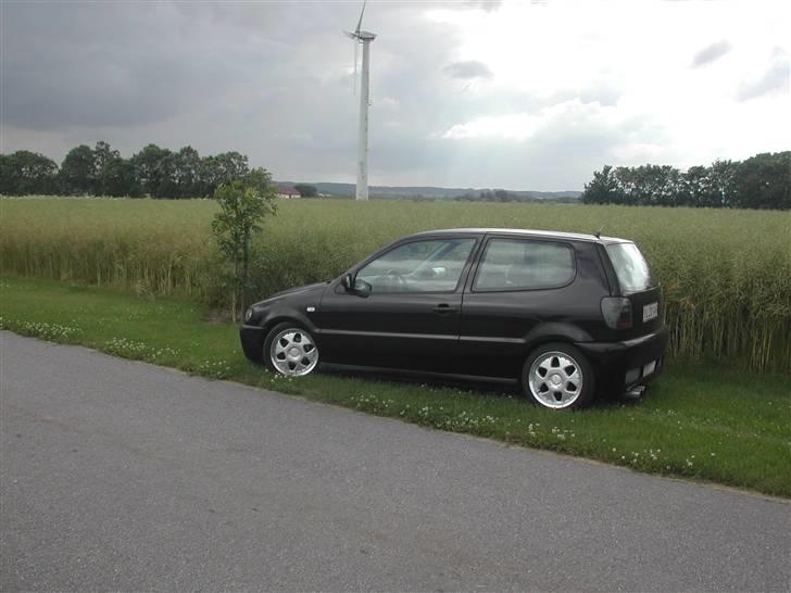 VW polo 6n Solgt billede 2