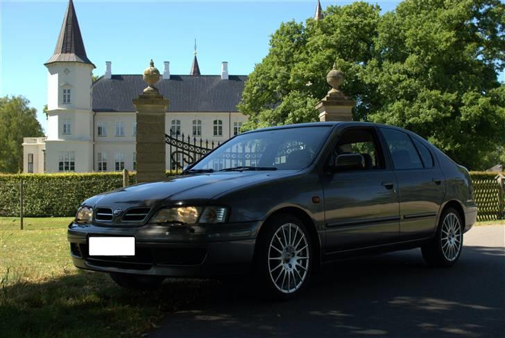 Nissan Primera Gx 1,6 - Sommer 08  ( Foto- Steffen H) billede 1