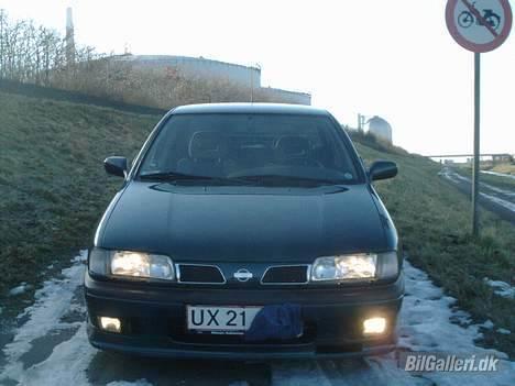 Nissan Primera billede 1
