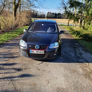 VW Golf 5 GTI DSG. Daily.