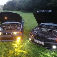 BMW E46 330D Mtech "Black on Black"