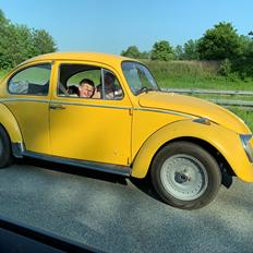 VW 1200 Bobbel  "bumblebee" edition