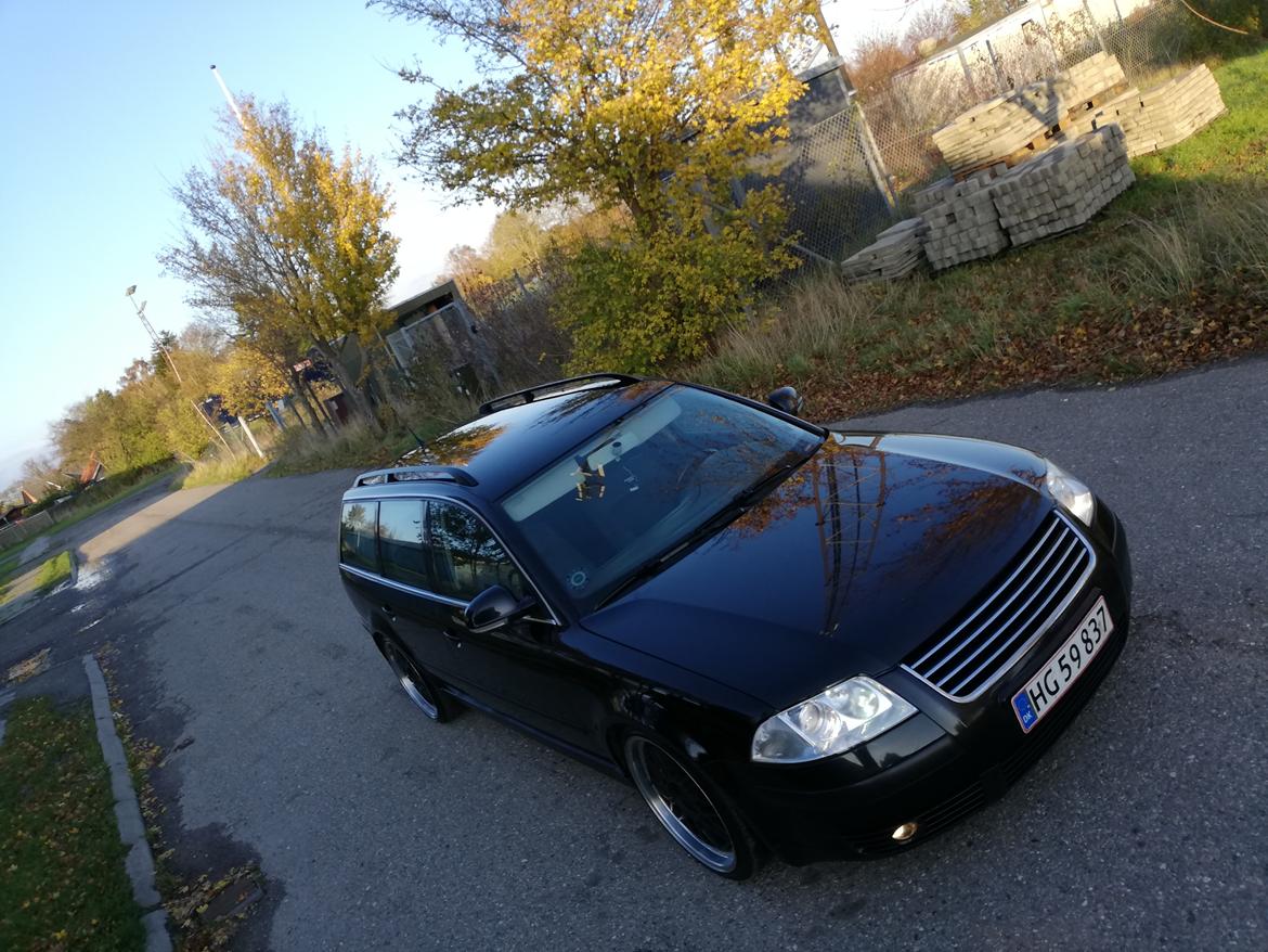VW Passat 3BG  billede 1