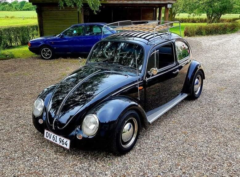 VW Type 1 "Bastard.bug" billede 1