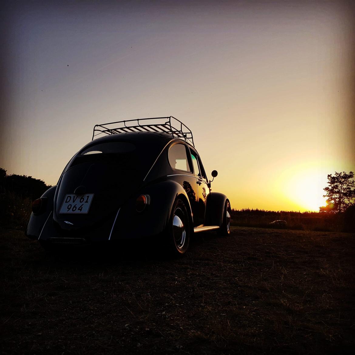 VW Type 1 "Bastard.bug" billede 3