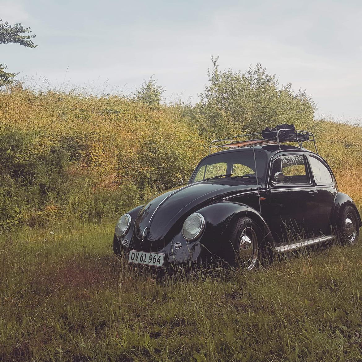 VW Type 1 "Bastard.bug" billede 11