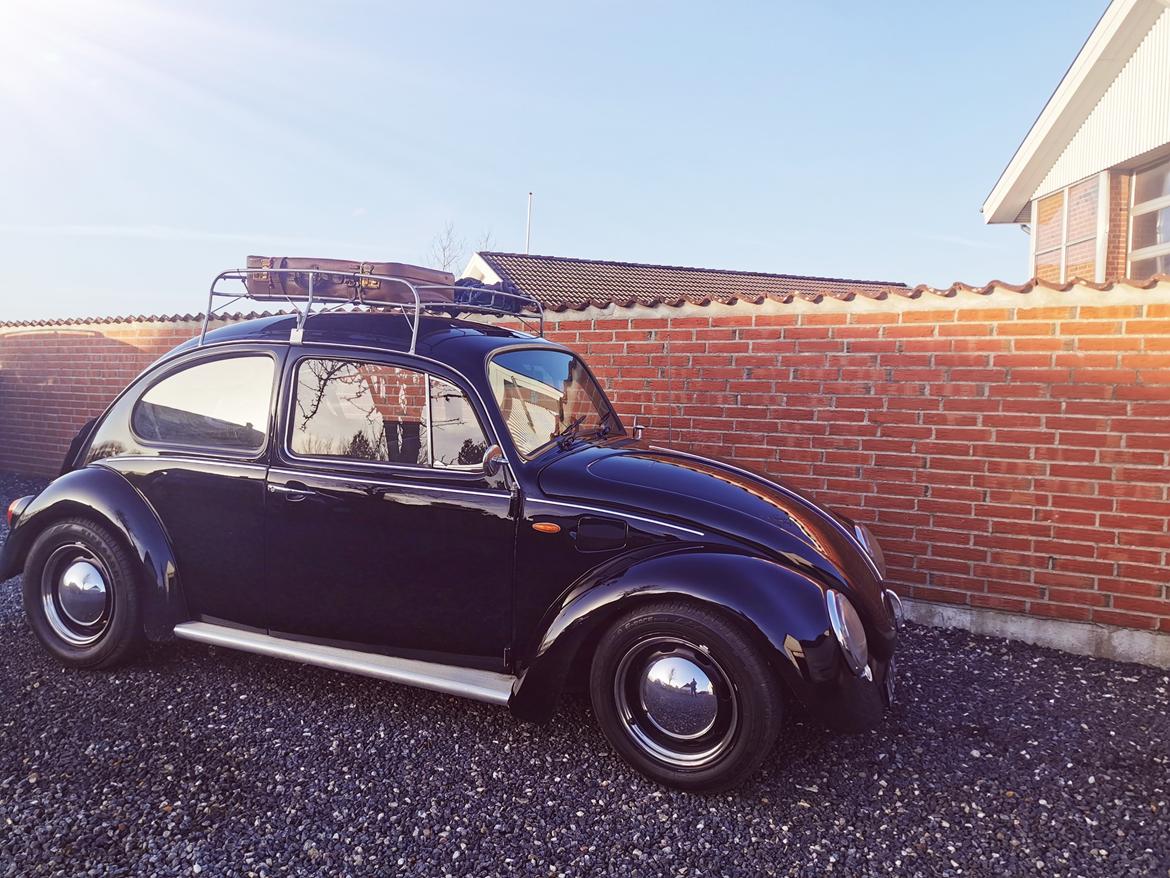 VW Type 1 "Bastard.bug" billede 4