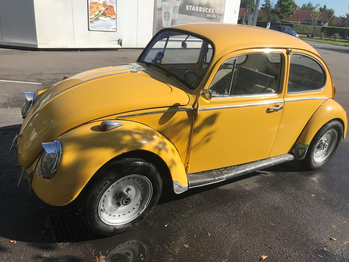 VW 1200 Bobbel  "bumblebee" edition billede 3