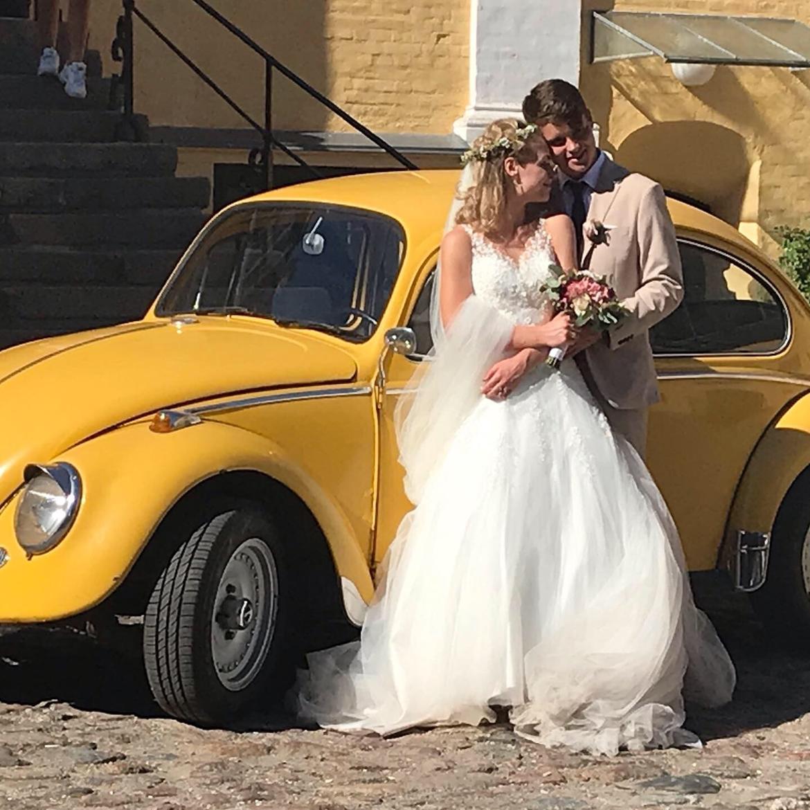 VW 1200 Bobbel  "bumblebee" edition billede 5