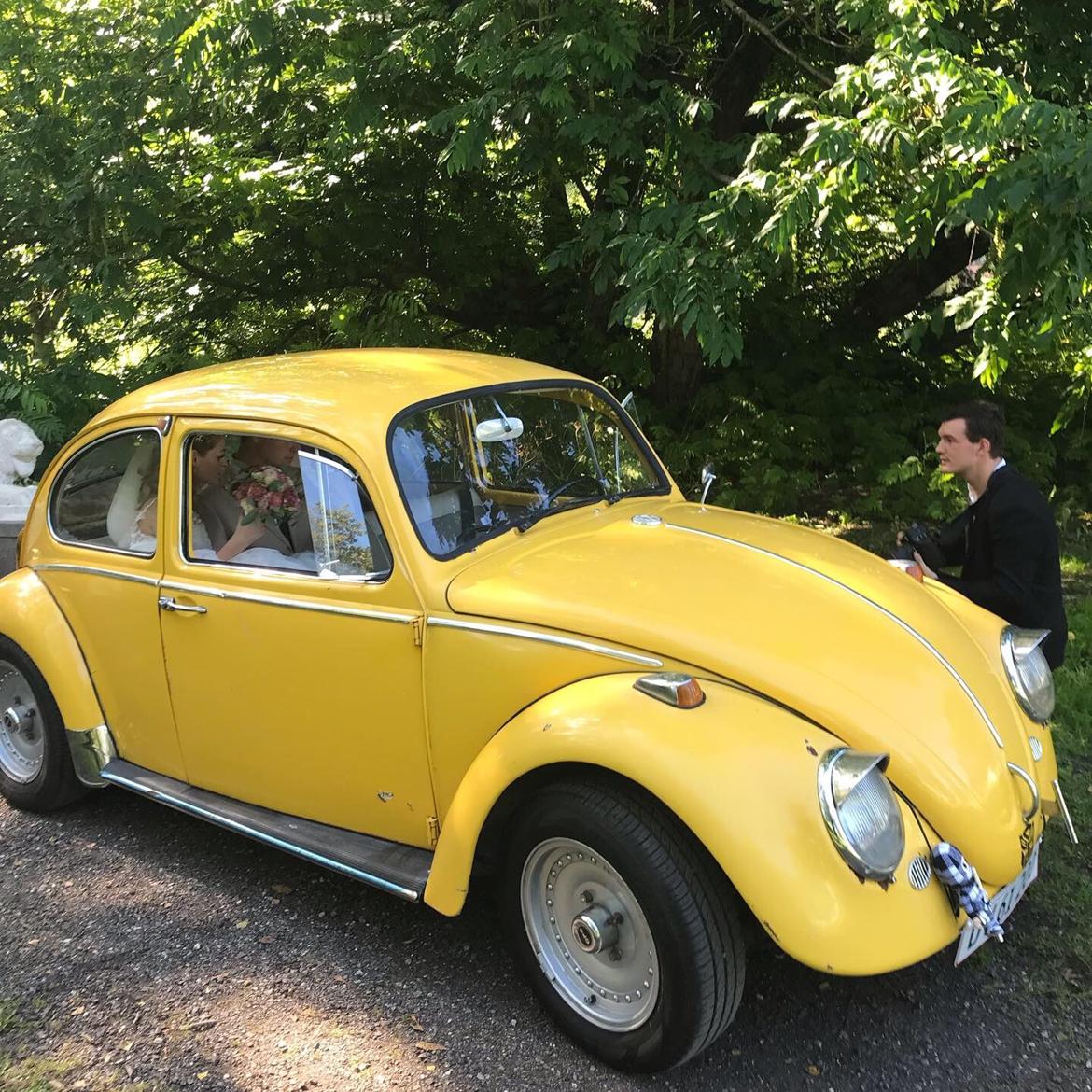 VW 1200 Bobbel  "bumblebee" edition billede 6