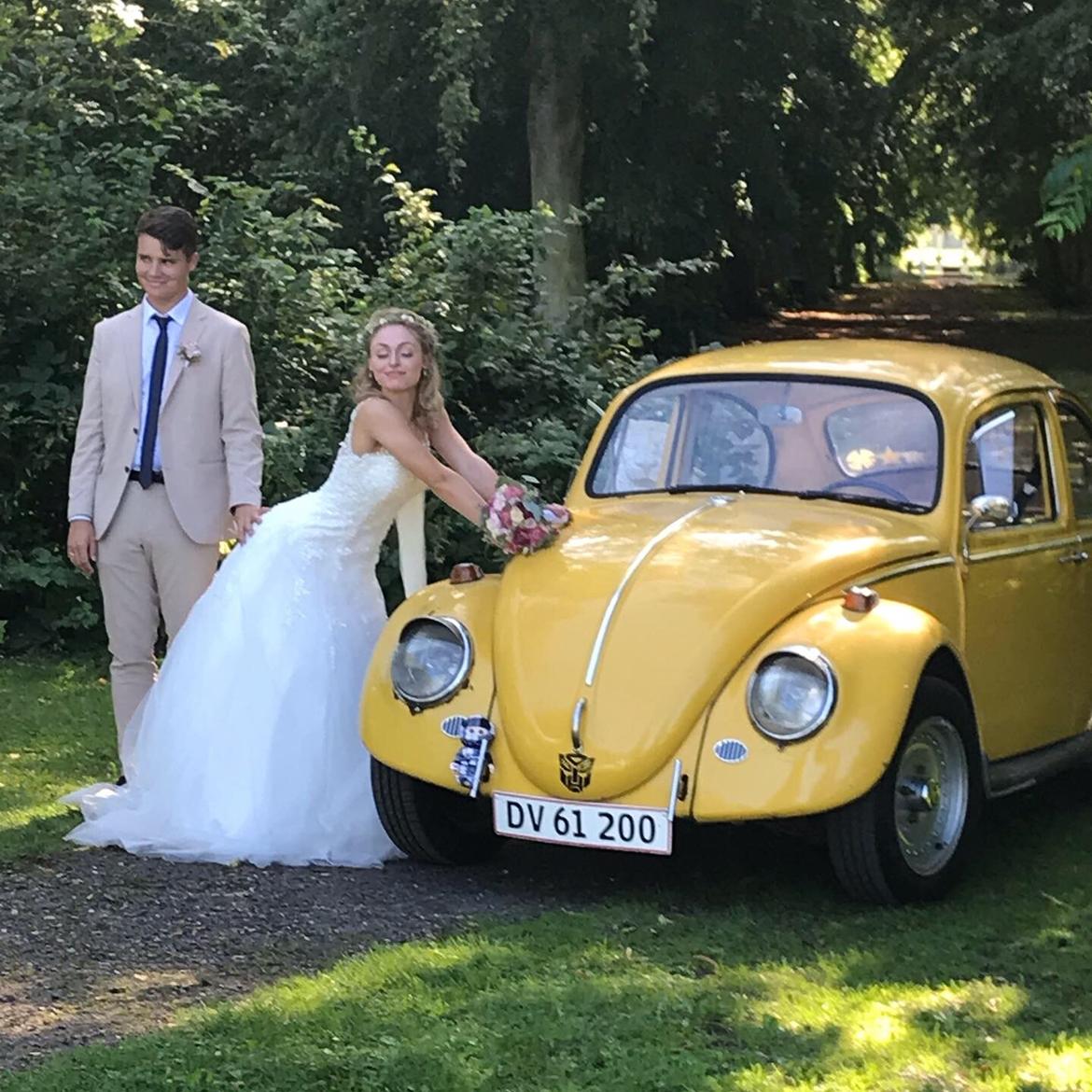 VW 1200 Bobbel  "bumblebee" edition billede 4