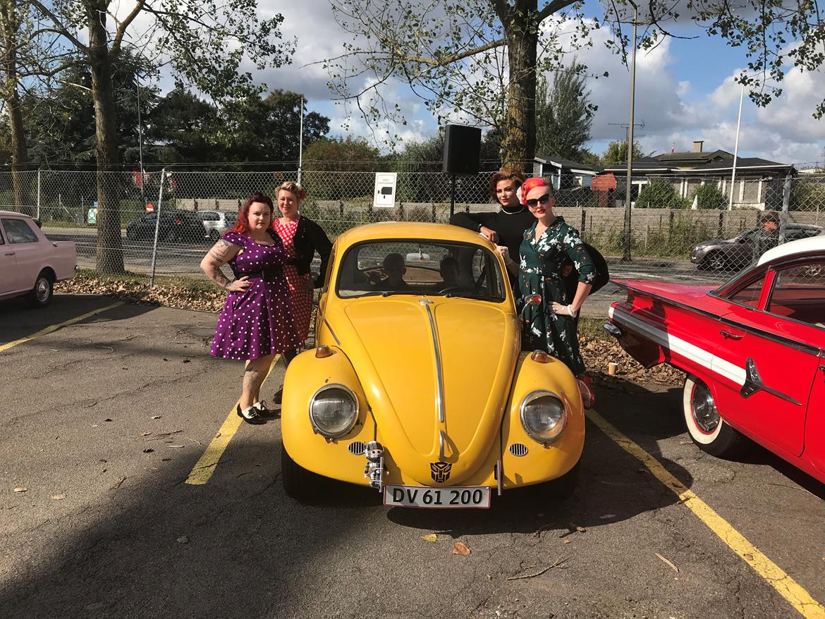 VW 1200 Bobbel  "bumblebee" edition billede 9