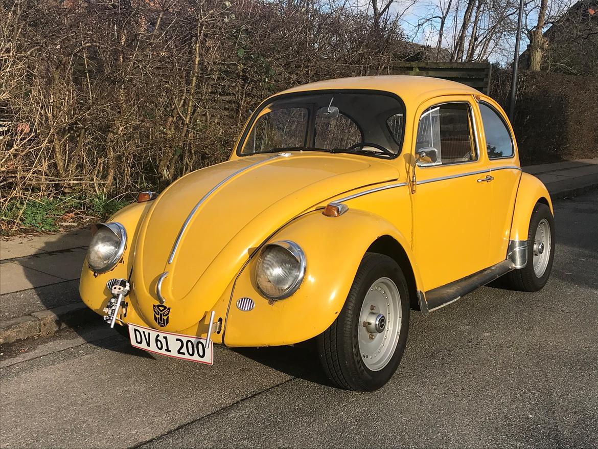 VW 1200 Bobbel  "bumblebee" edition billede 12