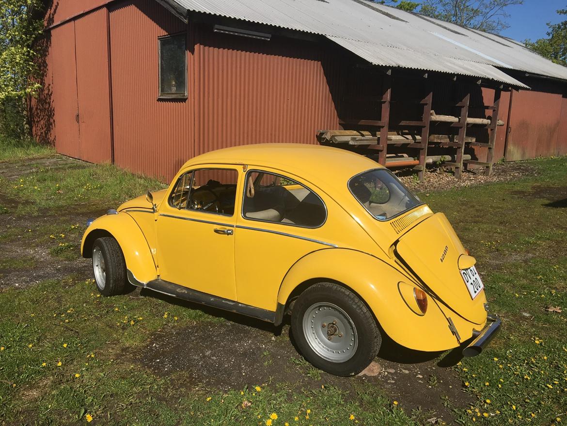 VW 1200 Bobbel  "bumblebee" edition billede 8