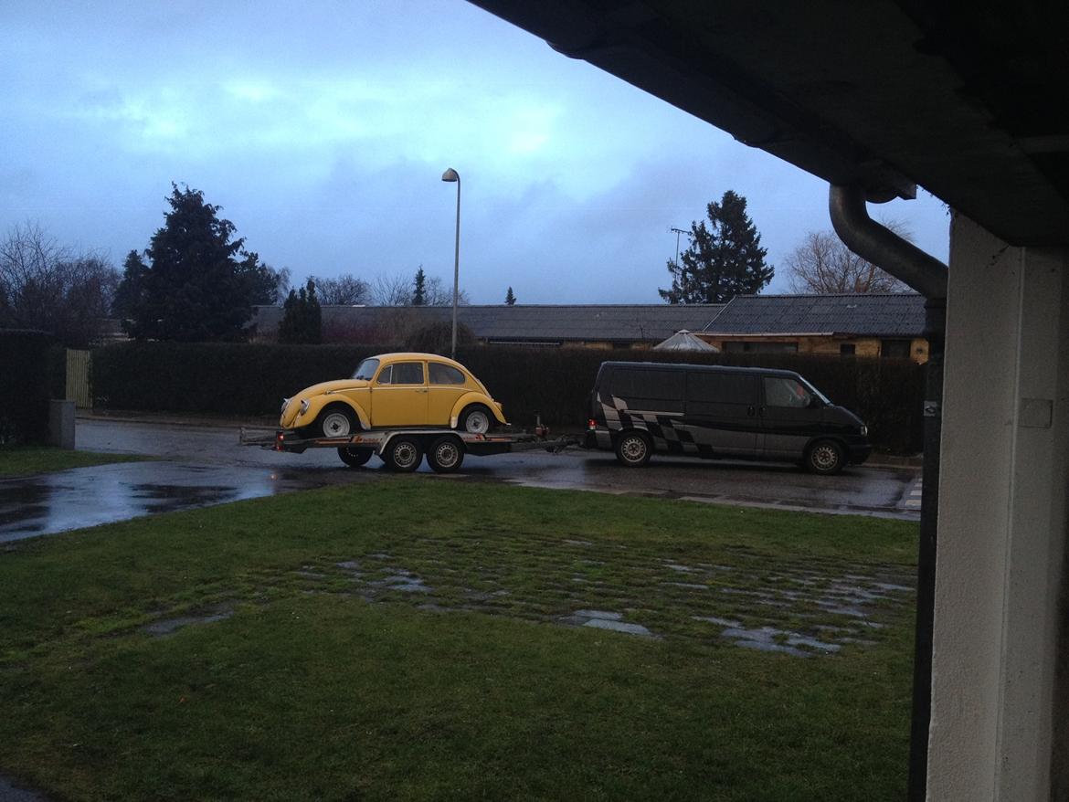 VW 1200 Bobbel  "bumblebee" edition billede 10