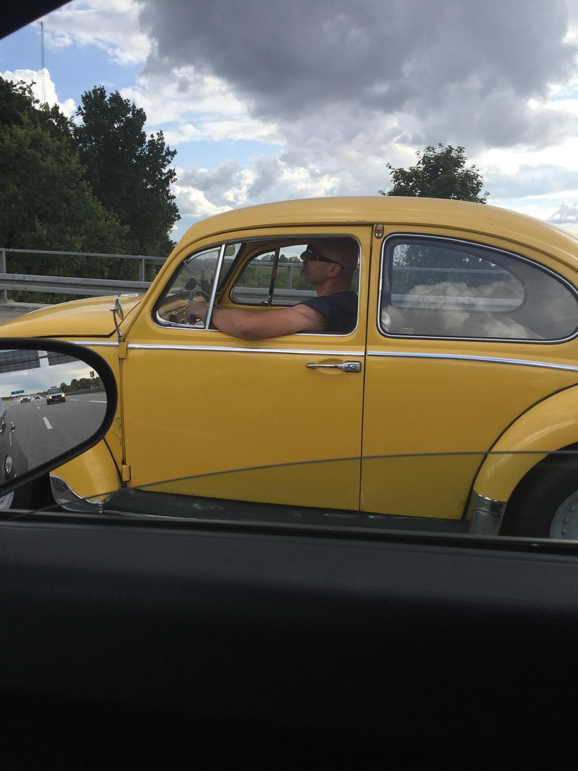 VW 1200 Bobbel  "bumblebee" edition billede 11