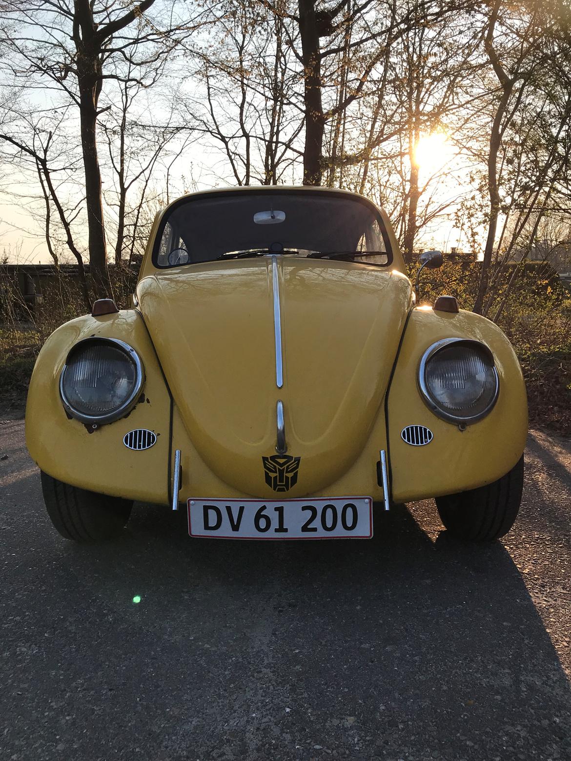 VW 1200 Bobbel  "bumblebee" edition billede 16