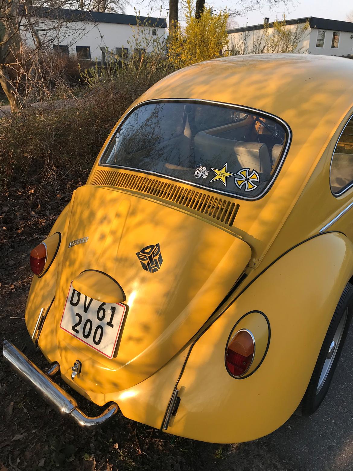 VW 1200 Bobbel  "bumblebee" edition billede 17