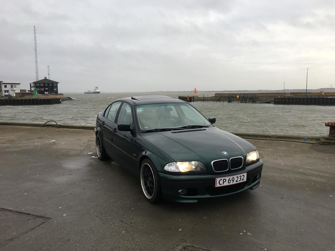 BMW e46 318i billede 12