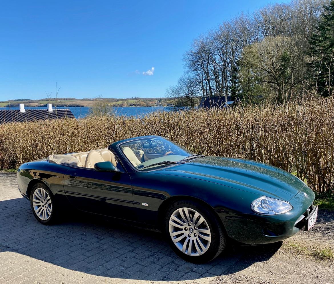 Jaguar XK8 4,0 V8 aut. Cabriolet billede 4