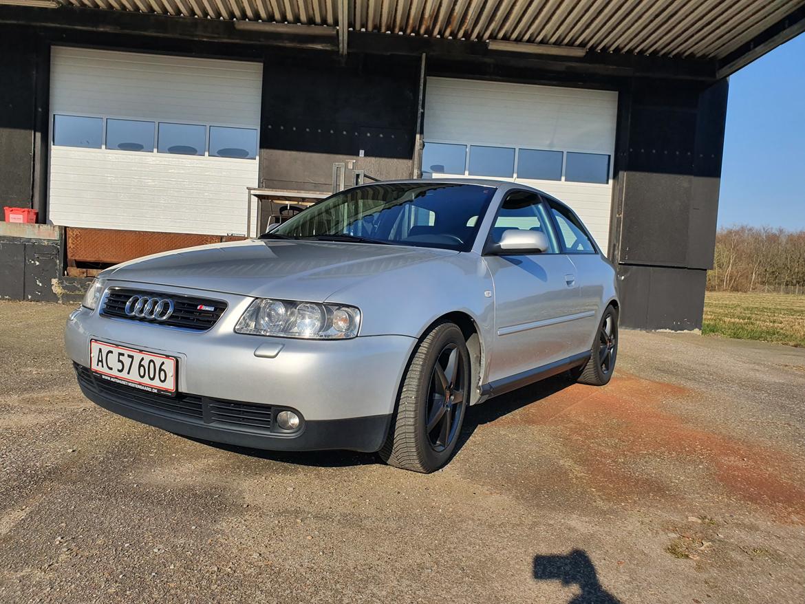 Audi A3 1.9 TDI 130 billede 2