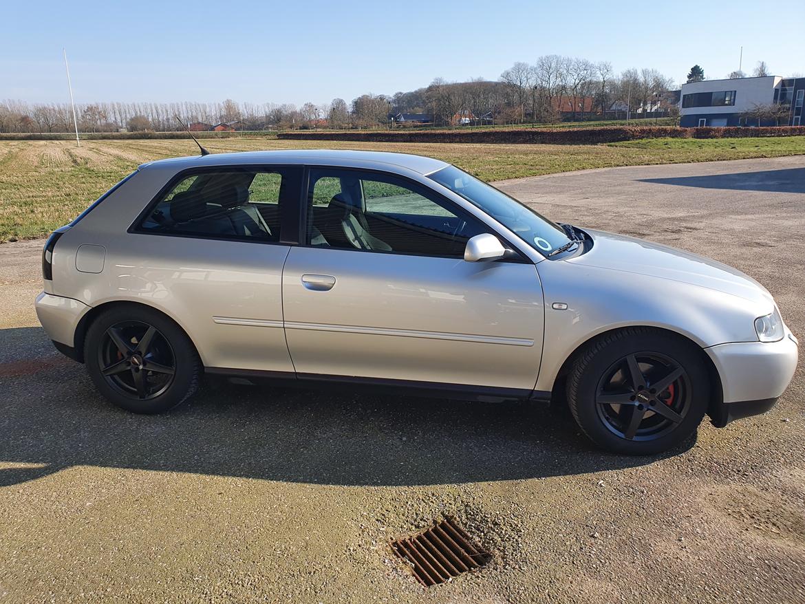 Audi A3 1.9 TDI 130 billede 4